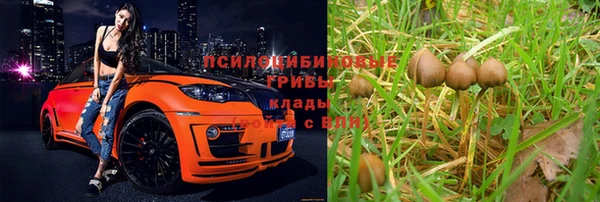 мяу мяу мука Киреевск